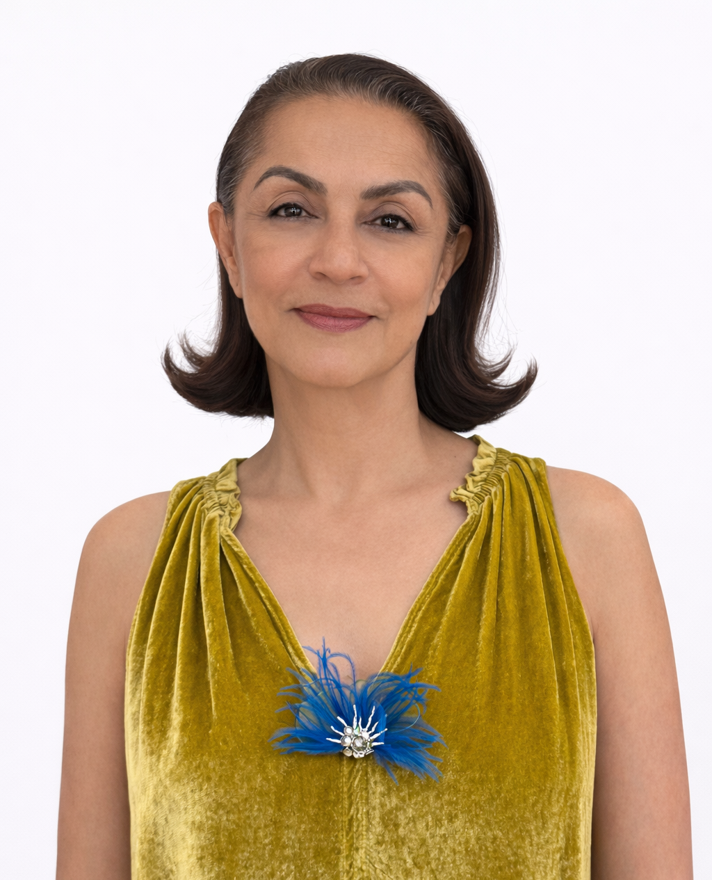 Pluma Brooch