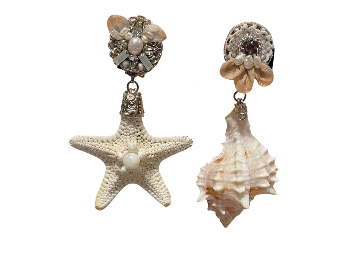 Sea + Shell