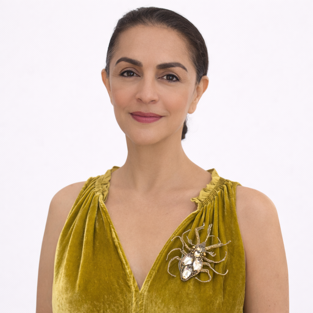 Mirrored Scarab Brooch