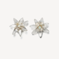 Iceberg Quartz Studs