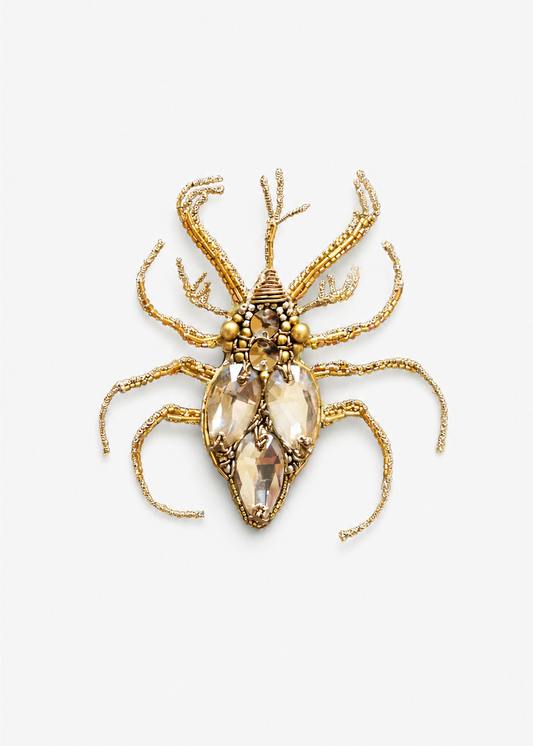 Mirrored Scarab Brooch