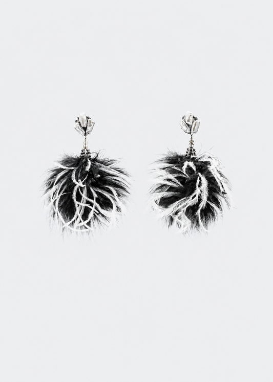 Pom Black & White